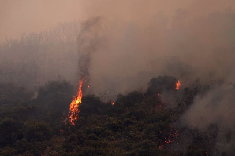 Incendios forestales causados por el calor en Francia