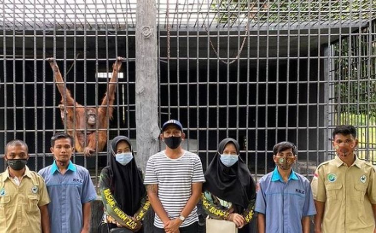 Zoológico Kasang Kulim de Indonesia 20220610
