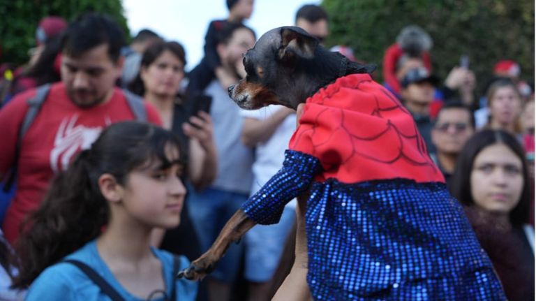 spiderman hombre araña obelisco 1 NA g_20231029