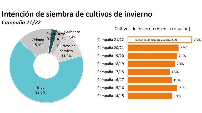 Graficos-20210331