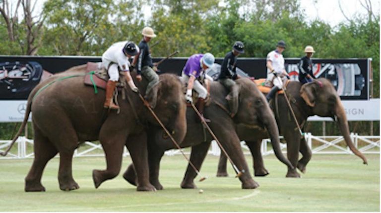 Origen arabe de las tradiciones argentinas: polo, pato, gauchos, jinetes, truco 20231226