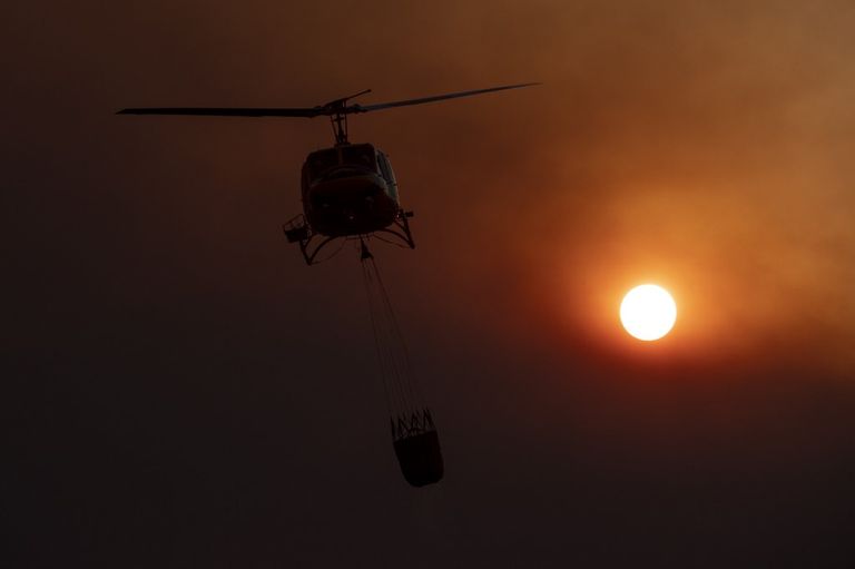 Incendios forestales causados por el calor en Francia