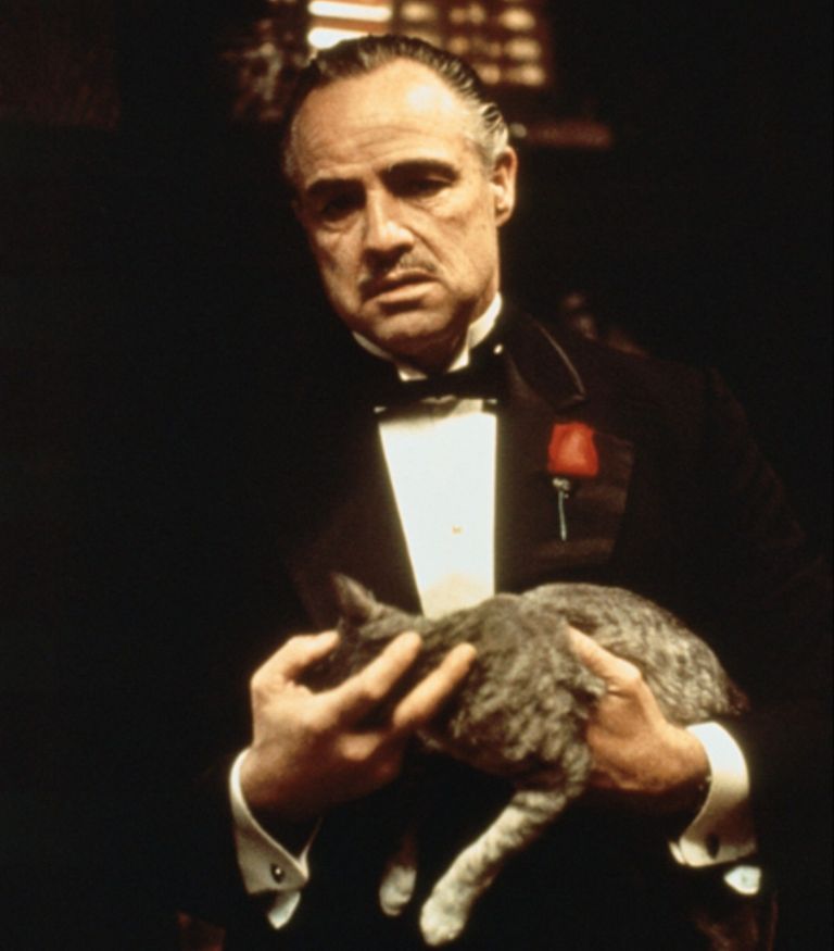 El Padrino película 20220804
