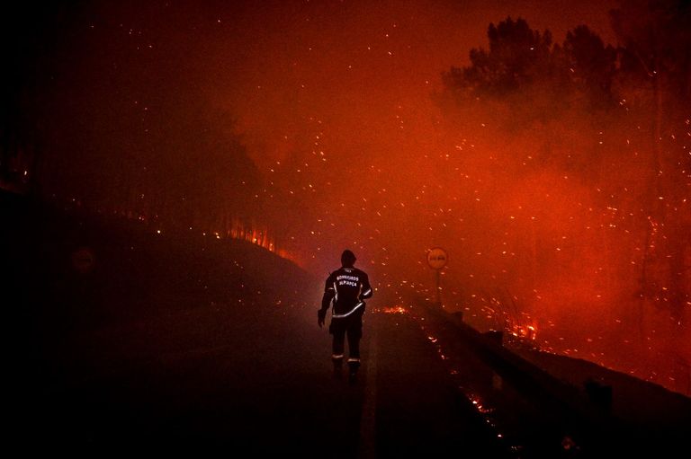 Las fotos más impactantes de 2022
