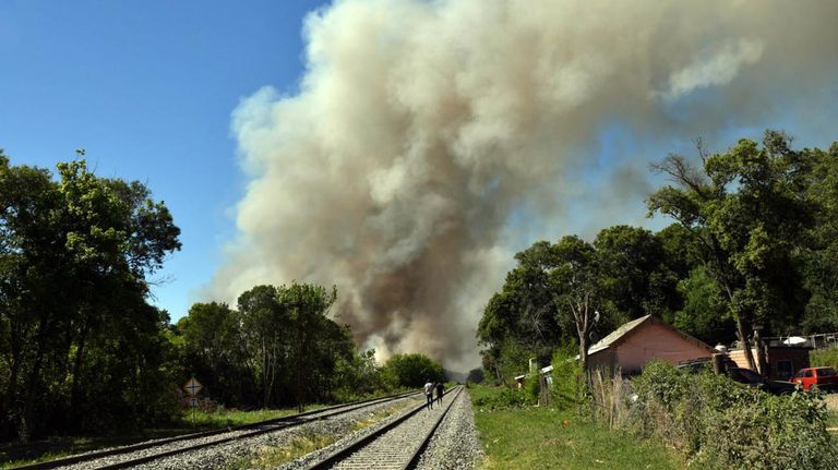 Incendio en el Parque Nacional Ciervo de los Pantanos 20211124