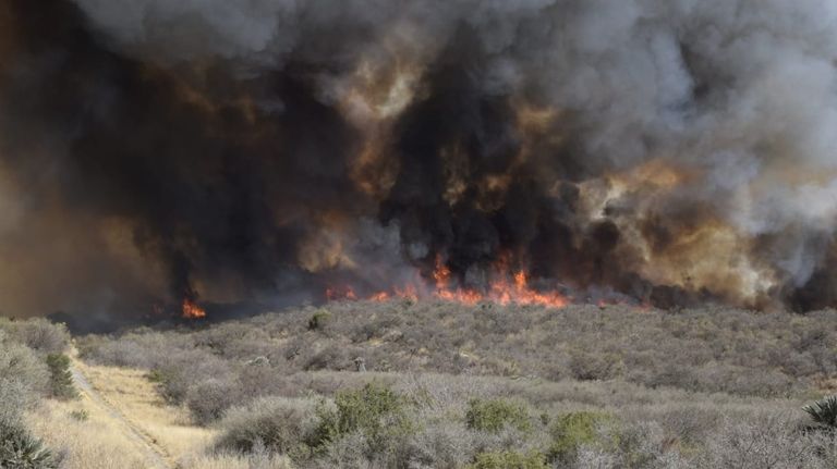 Incendios Cordoba
