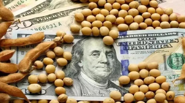 La caída de las liquidaciones en el marco del dólar agro.