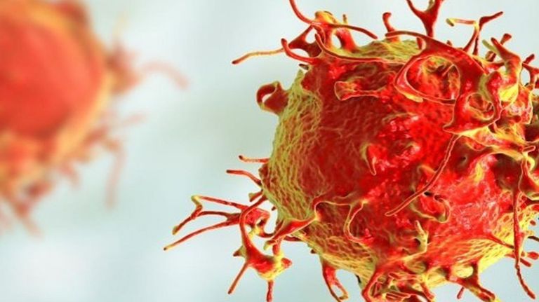 Leucemia