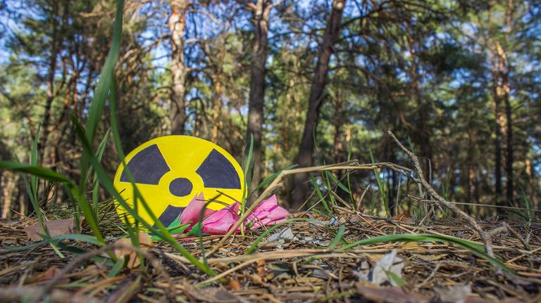Chernobyl caballos