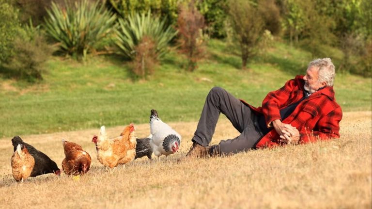 Sam Neill, protagonista de Jurassic Park, enfermo de cáncer g_20231017