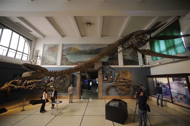 dinosaurio marino calafate afp