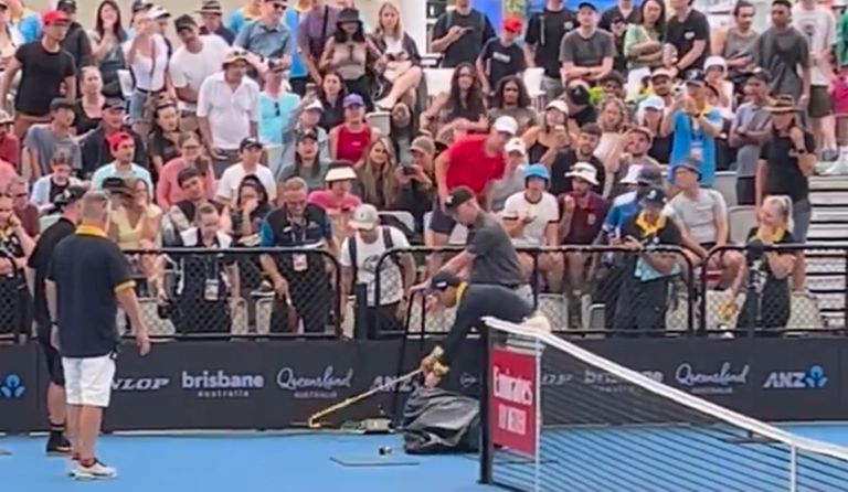 Una serpiente suspendió momentáneamente el ATP de Brisbane, en Australia