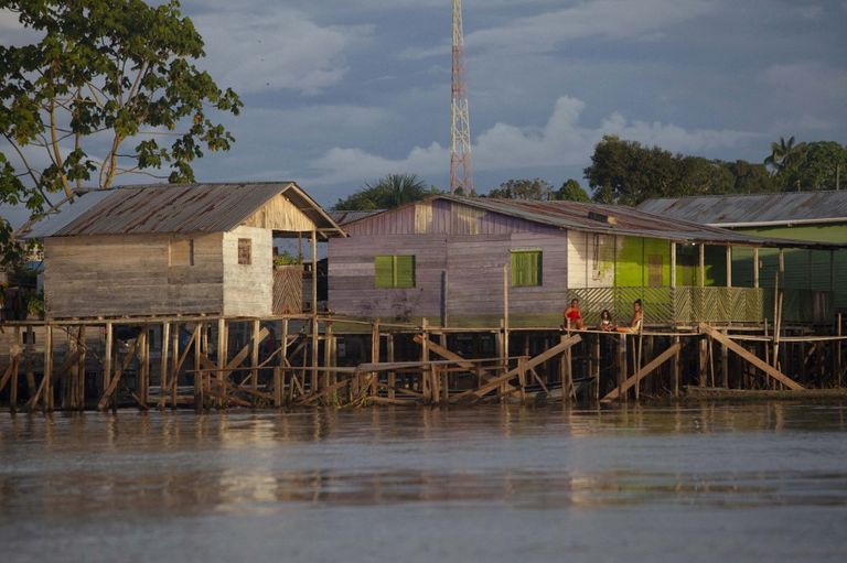 amazonia