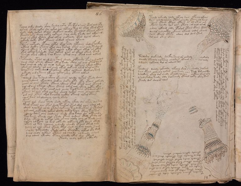 Manuscrito Voynich