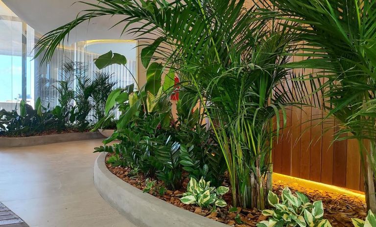 jardín