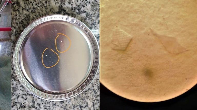 Microplásticos en la sal marina