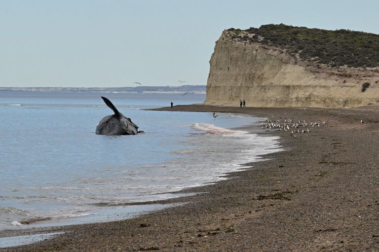 Chubut