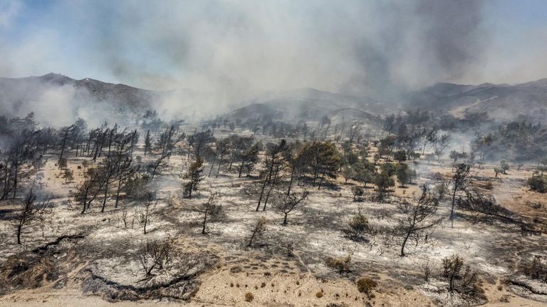 Ola de Calor en Europa y Estados Unidos