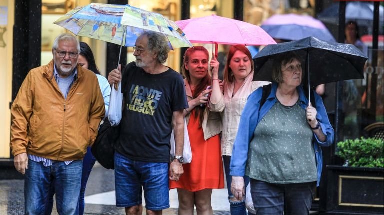 Lluvia de primavera 20241206