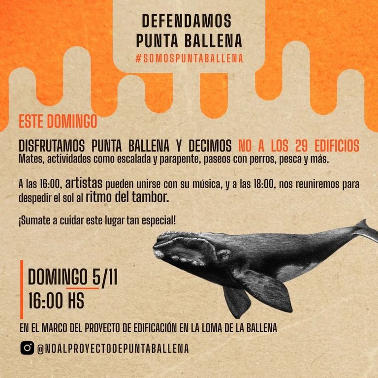 Complejo Punta Ballena