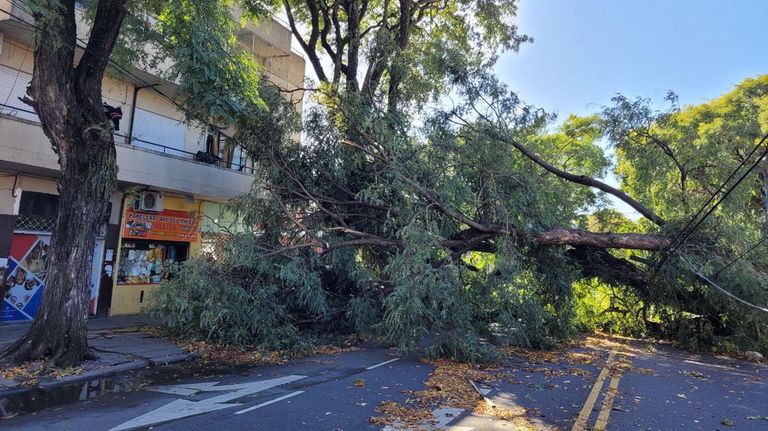 Temporal en laCiudad de Buenos Aires 20220427