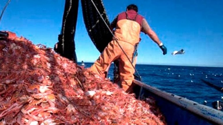 Pesca