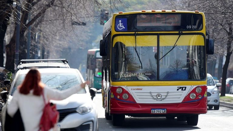 colectivos