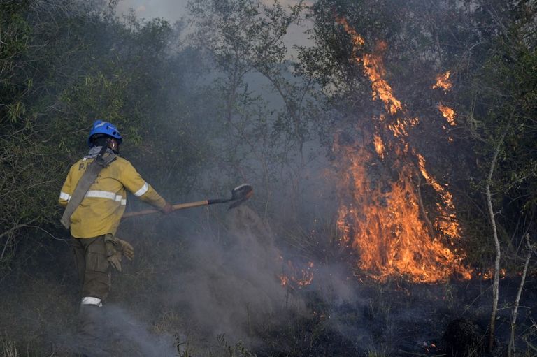 Incendios en Corrientes afp