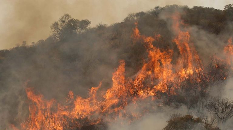 Incendios en Argentina | Crédito: Greenpeace.