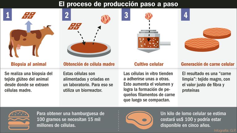 La investigación para lograr carne artificial hace sensibles avances.