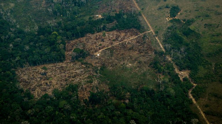 incendio amazonia brasil afp