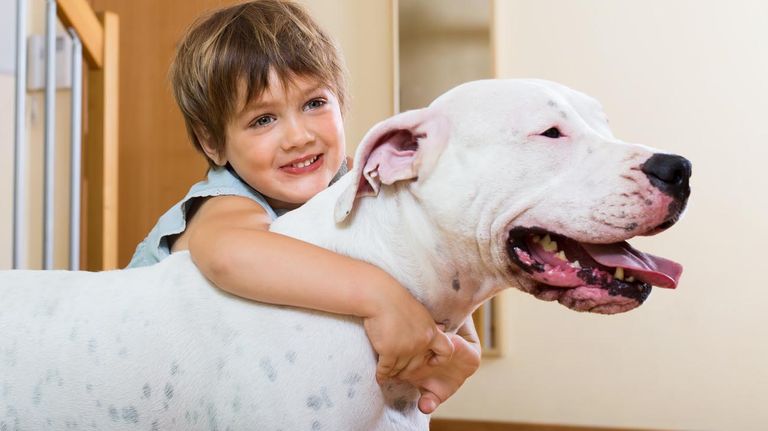 7 señales de que un perro confía en su dueño 20220927º