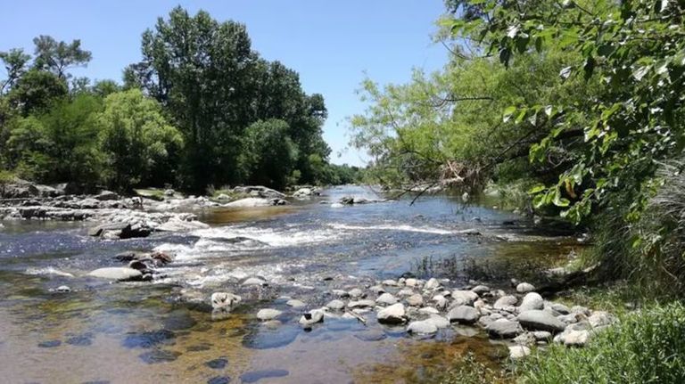 Reserva Natural de Barrio Los Talas