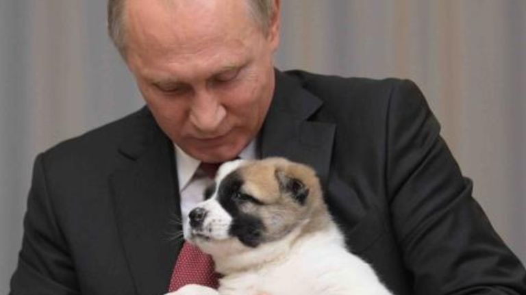 putin perro 05222019