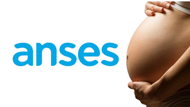 Anses
