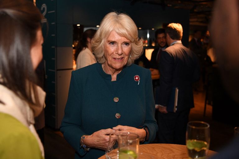 camilla parker bowles duquesa cornualles