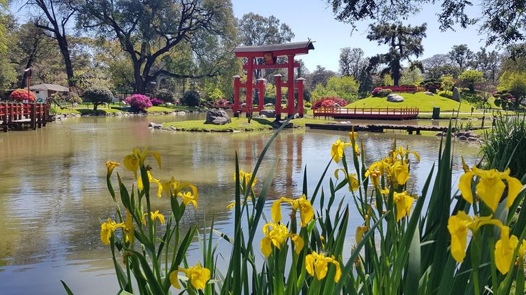 Jardín Japonés de Buenos Aires 20220506
