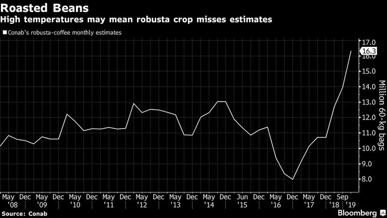 High temperatures may mean robusta crop misses estimates