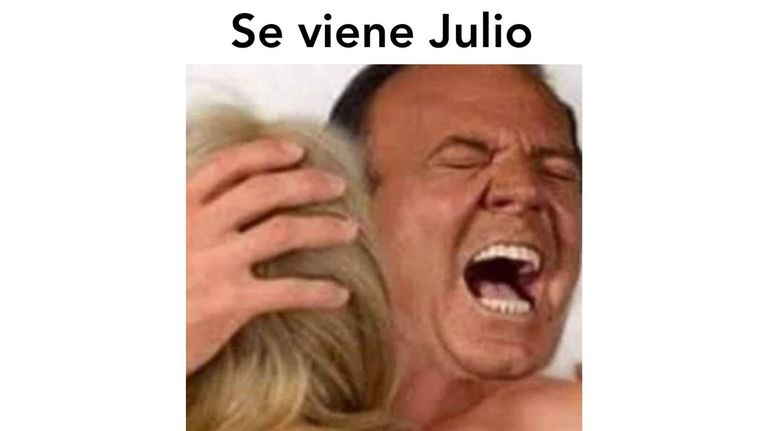Meme Julio Iglesias