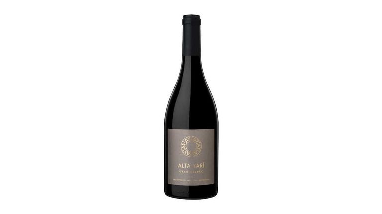 Bodega Alta-Yarí 20230913