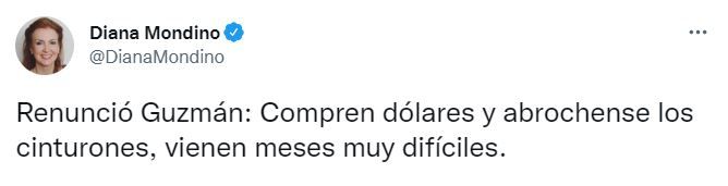 El mensaje de Diana Mondino sobre la renuncia de Martín Guzmán.