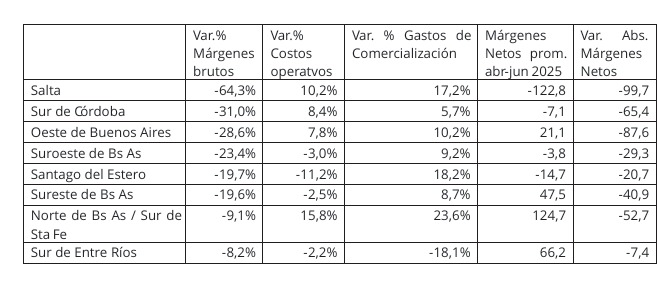 Presión de los costos e impuestos sobre los márgenes de soja por regiones 2025. 