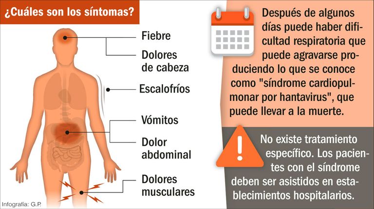 Efectos de hantavirus.