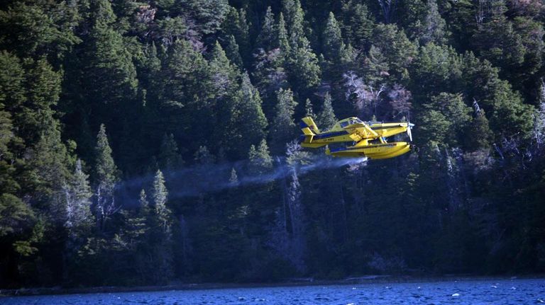 Incendios forestales en la Patagonia 20211227