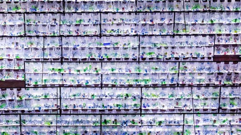 Día del Reciclaje