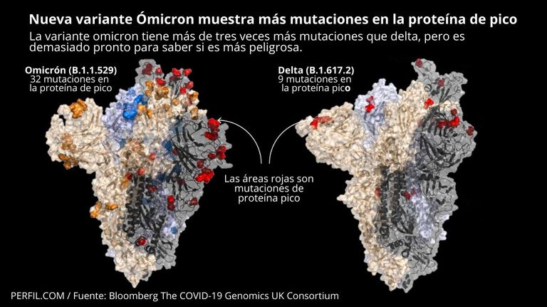 infografia omicron