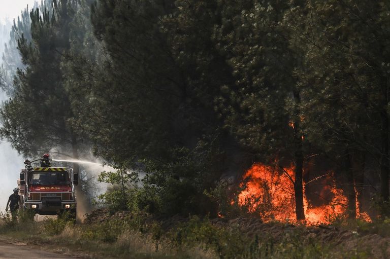Incendios forestales causados por el calor en Francia