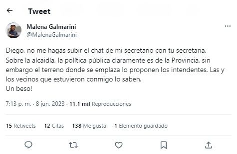 Galmarini Valenzuela twitter g_20230608