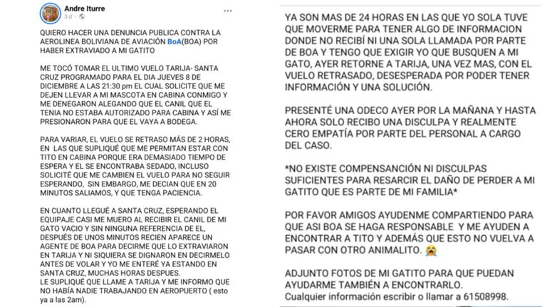 Desaparición del gato Tito