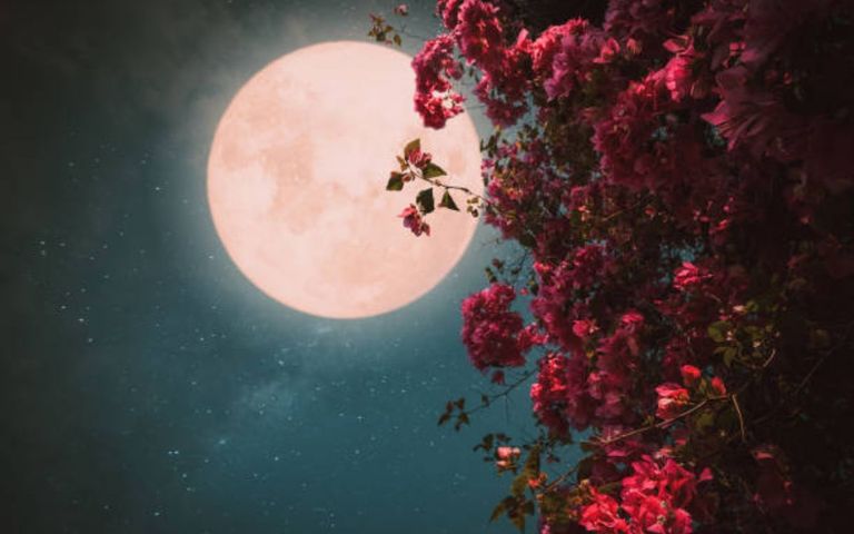 Luna Rosa en Argentina